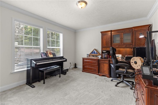 35220 Seacock Chapel Rd, Zuni, VA 23898 - office space with light colored carpet, ornamental molding, a textured ceiling, and baseboards