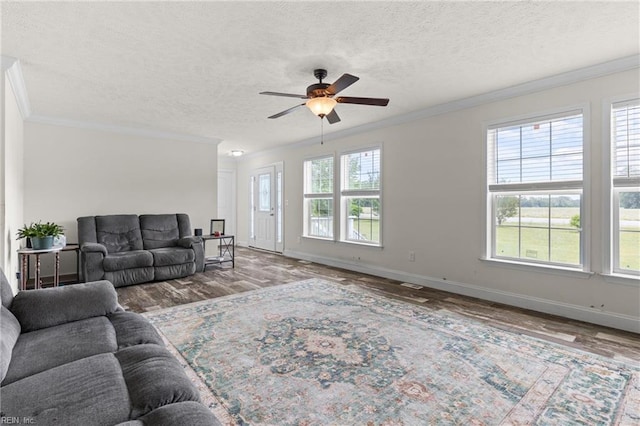 35220 Seacock Chapel Rd, Zuni, VA 23898 - living area featuring ornamental molding, wood finished floors, ceiling fan, baseboards, and a textured ceiling