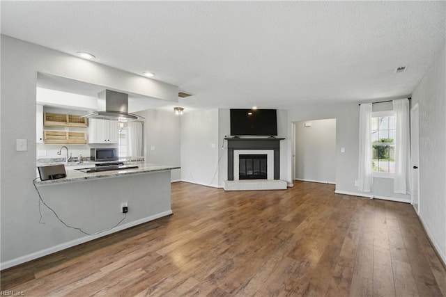 1305 Ettington Ln, Virginia Beach, VA 23464 - unfurnished living room featuring dark wood finished floors, a textured ceiling, a glass covered fireplace, a sink, and baseboards