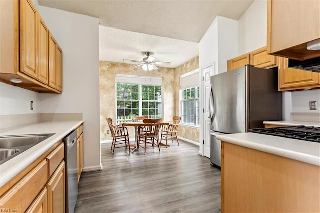 113 Trevor Trce, Yorktown, VA 23692 - kitchen with stainless steel appliances, a ceiling fan, wood finished floors, light countertops, and a textured ceiling