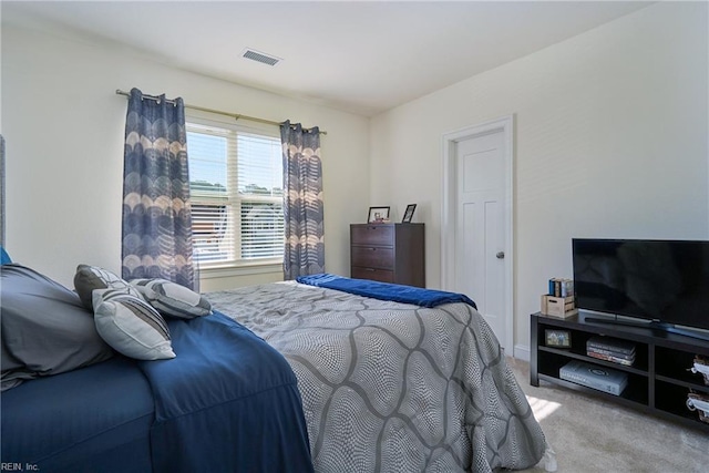 604 Baker Loop, Chesapeake, VA 23320 - bedroom featuring carpet floors