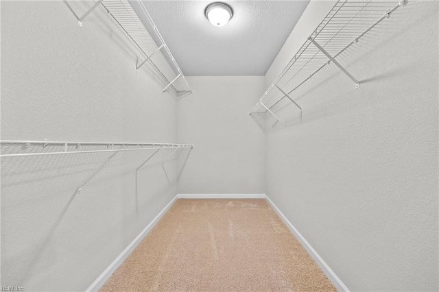 209 Apple Ct, Elizabeth City, NC 27909 - spacious closet with carpet