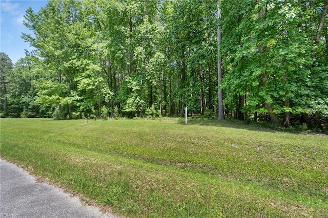 1217 Creekway Dr, Smithfield, VA 23430
