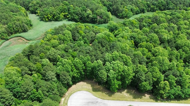 1217 Creekway Dr, Smithfield, VA 23430