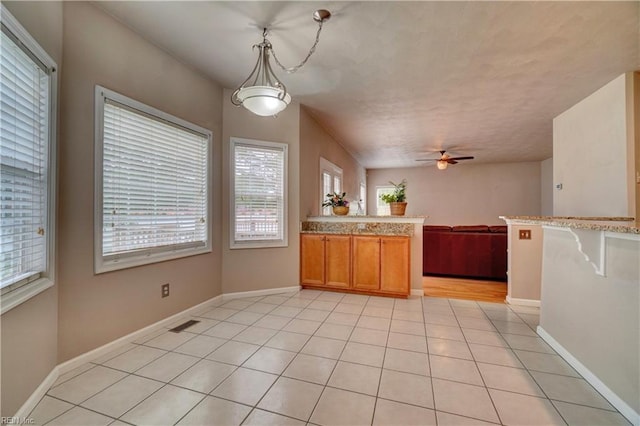 204 Goshawk Ct, Suffolk, VA 23435 - kitchen featuring plenty of natural light, a ceiling fan, a peninsula, and open floor plan