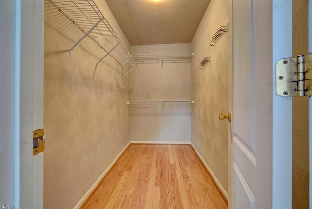 204 Goshawk Ct, Suffolk, VA 23435 - walk in closet featuring wood finished floors