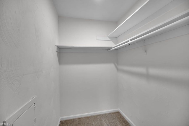 376 Merrimac Trl Unit 113, Williamsburg, VA 23185 - spacious closet featuring carpet flooring