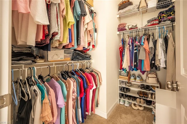 471 Abelia Way, Chesapeake, VA 23322 - spacious closet with carpet floors