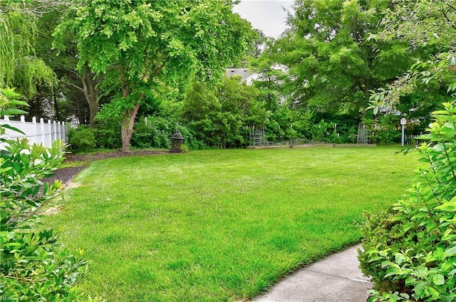 1228 Cherrytree Ln, Chesapeake, VA 23320 - view of yard