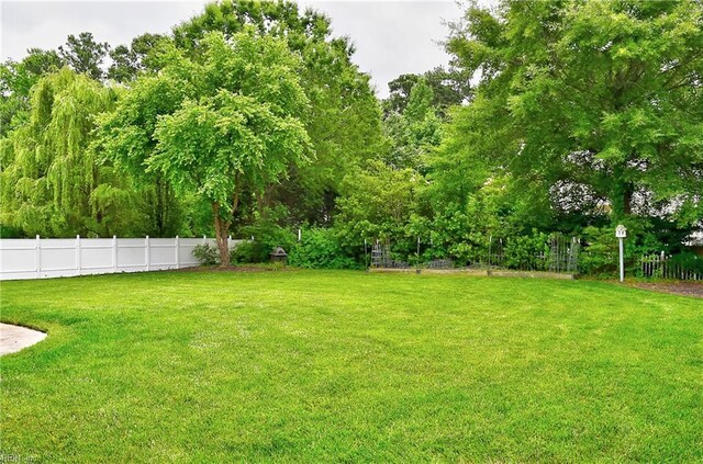 1228 Cherrytree Ln, Chesapeake, VA 23320 - view of yard