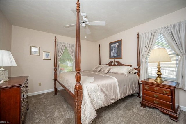 905 Lela Ln, Chesapeake, VA 23322 - carpeted bedroom featuring multiple windows and a ceiling fan