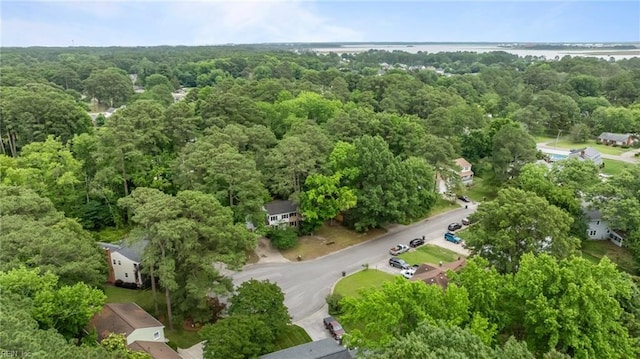 10 Kathy Dr, Poquoson, VA 23662 - bird's eye view of a forest and a large body of water