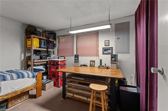 4420 Anderson Ave, Suffolk, VA 23435 - basement with electric panel, a workshop area, carpet, and a textured ceiling