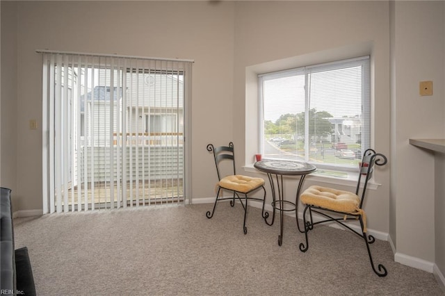 410 Babbling Brook Dr, Virginia Beach, VA 23462 - sitting room featuring carpet and baseboards