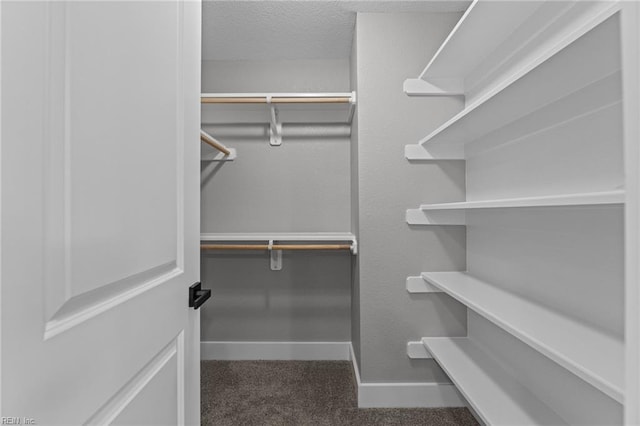 4 Roundtree Cir, Hampton, VA 23661 - walk in closet with carpet floors