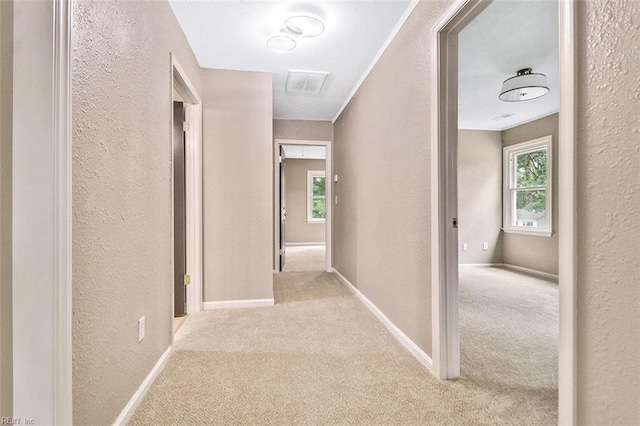 112 Atwell Ln, Hampton, VA 23669 - hall featuring a textured wall, carpet floors, and baseboards
