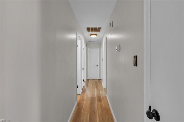 2920 Fetsch Pl, Virginia Beach, VA 23453 - hall featuring light wood-style floors and baseboards
