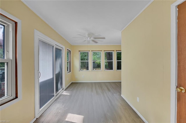 8248 Andrew Ln, Norfolk, VA 23505 - view of unfurnished sunroom