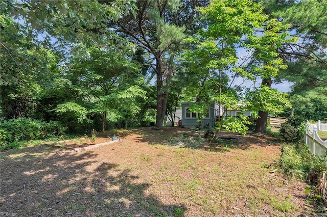 8248 Andrew Ln, Norfolk, VA 23505 - view of yard