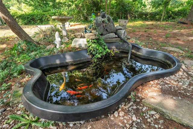 8248 Andrew Ln, Norfolk, VA 23505 - exterior view of a garden pond