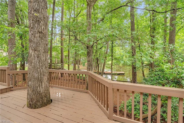 928 S Spigel Dr, Virginia Beach, VA 23454 - view of wooden deck