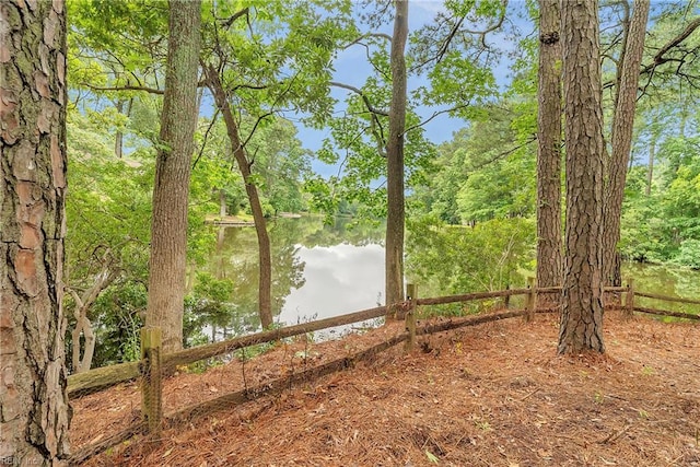 928 S Spigel Dr, Virginia Beach, VA 23454 - view of yard featuring a water view and a view of trees