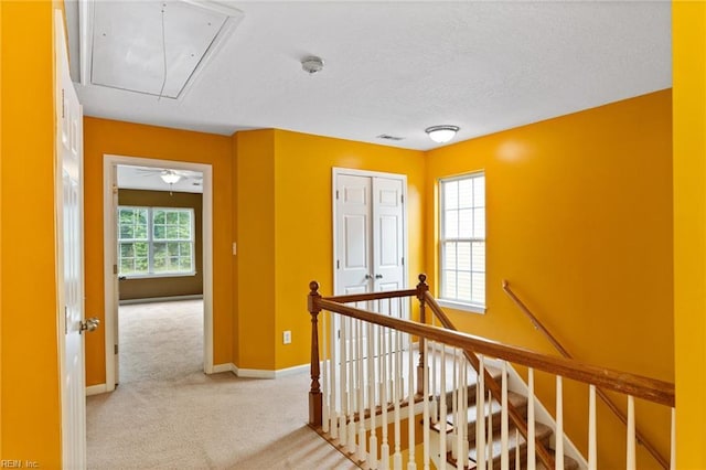 10 Musket Ln, Hampton, VA 23666 - hall with attic access, an upstairs landing, light carpet, and a textured ceiling