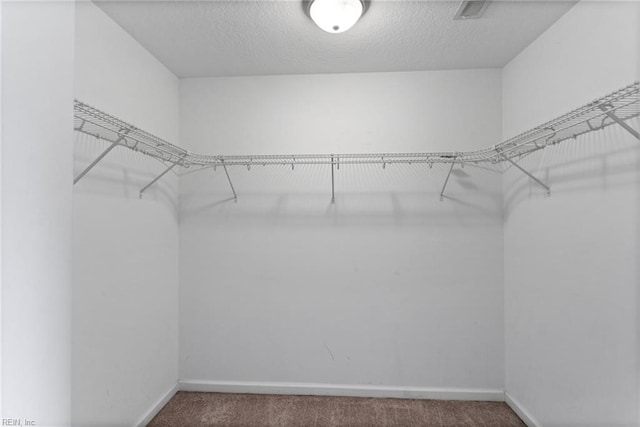 10 Musket Ln, Hampton, VA 23666 - spacious closet with carpet