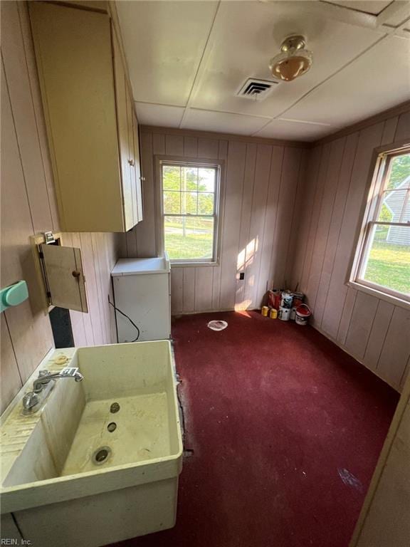 123 Orchard Cove Ln, Callao, VA 22435 - bathroom featuring wood walls