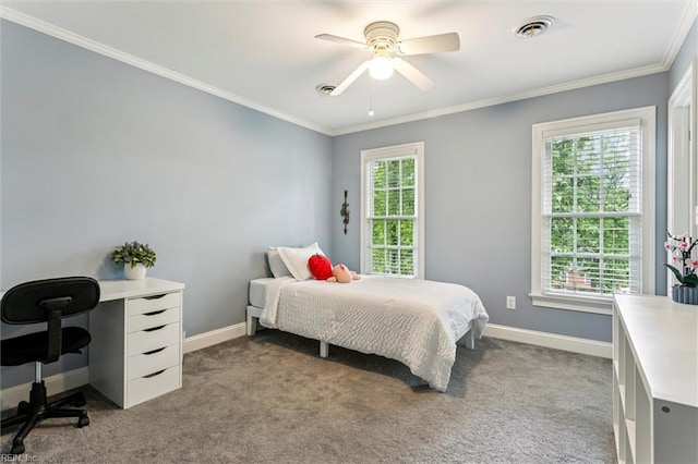 107 Gullane, Williamsburg, VA 23188 - bedroom with crown molding, carpet floors, an office area, baseboards, and ceiling fan