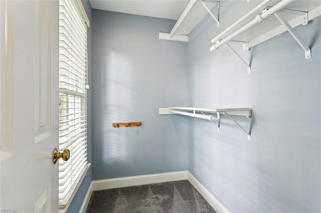 107 Gullane, Williamsburg, VA 23188 - spacious closet with carpet flooring
