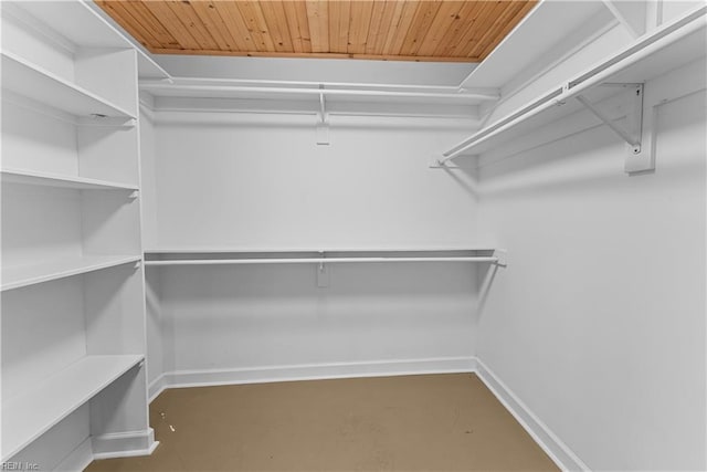2652 Benefit Rd, Chesapeake, VA 23322 - view of walk in closet