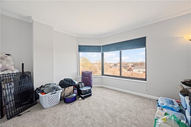 7501 River Rd Unit 4A, Newport News, VA 23607 - sitting room with carpet flooring, crown molding, a textured ceiling, and baseboards