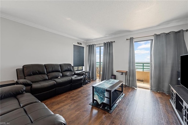 7501 River Rd Unit 4A, Newport News, VA 23607 - living area featuring plenty of natural light, dark wood finished floors, ornamental molding, and a textured ceiling