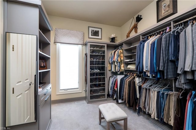 5225 Regatta Pointe Rd, Suffolk, VA 23435 - walk in closet featuring carpet