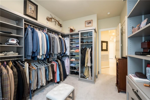 5225 Regatta Pointe Rd, Suffolk, VA 23435 - walk in closet featuring light colored carpet