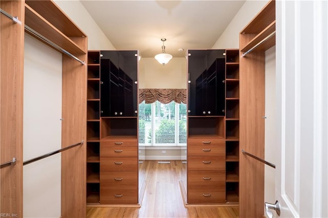 5225 Regatta Pointe Rd, Suffolk, VA 23435 - walk in closet with light wood-type flooring