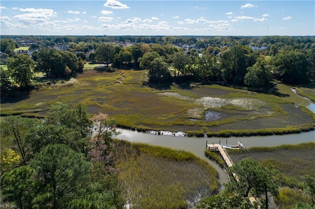 5225 Regatta Pointe Rd, Suffolk, VA 23435 - aerial view of property and surrounding area with a nearby body of water