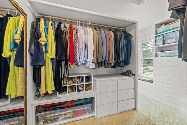 1604 Tether Keep, Virginia Beach, VA 23454 - walk in closet featuring carpet floors