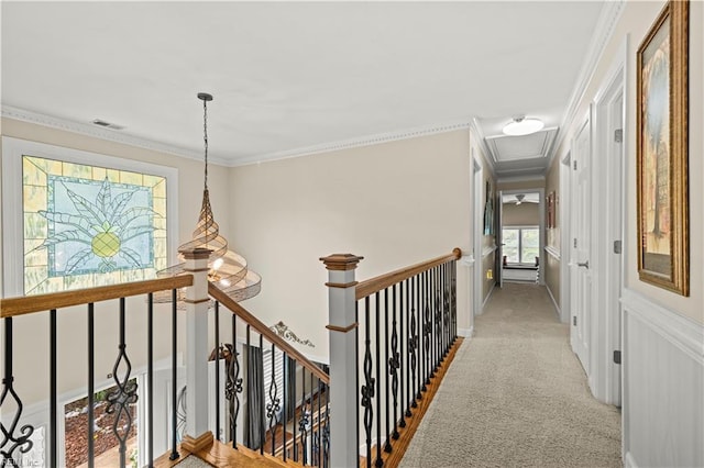 1604 Tether Keep, Virginia Beach, VA 23454 - hallway featuring an upstairs landing, light carpet, ornamental molding, and attic access