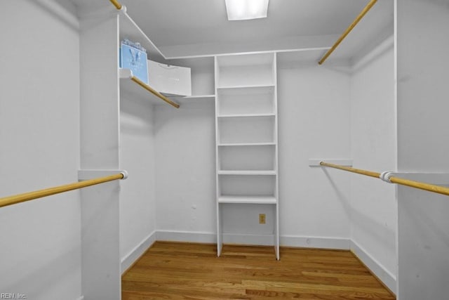 1405 Gravatt Ln, Virginia Beach, VA 23454 - walk in closet featuring wood finished floors