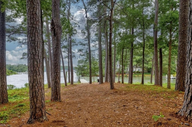 1405 Gravatt Ln, Virginia Beach, VA 23454 - view of yard with a water view