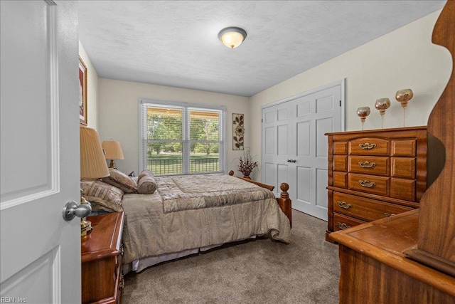 1309 Taft Rd, Chesapeake, VA 23322 - carpeted bedroom with a textured ceiling