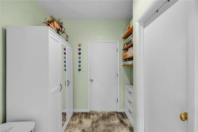 3541 Byrn Brae Dr, Virginia Beach, VA 23464 - walk in closet with light carpet