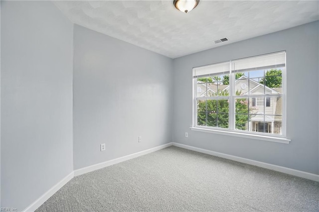 5217 Maracas Arch Arch Unit 50, Virginia Beach, VA 23462 - carpeted spare room with baseboards and a textured ceiling