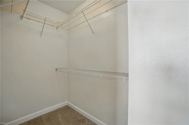 5217 Maracas Arch Arch Unit 50, Virginia Beach, VA 23462 - walk in closet with carpet floors