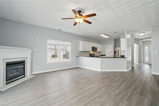 5217 Maracas Arch Arch Unit 50, Virginia Beach, VA 23462 - unfurnished living room with a ceiling fan, wood finished floors, and a premium fireplace