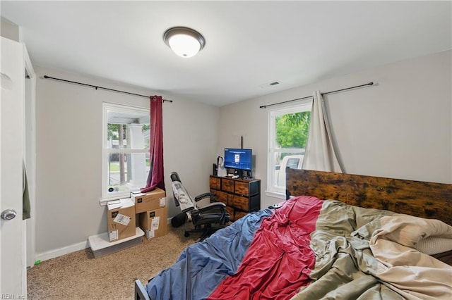 313 Saint James Ave, Suffolk, VA 23434 - carpeted bedroom with baseboards