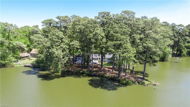 5227 Lake Shores Rd, Virginia Beach, VA 23455 - water view featuring a forest