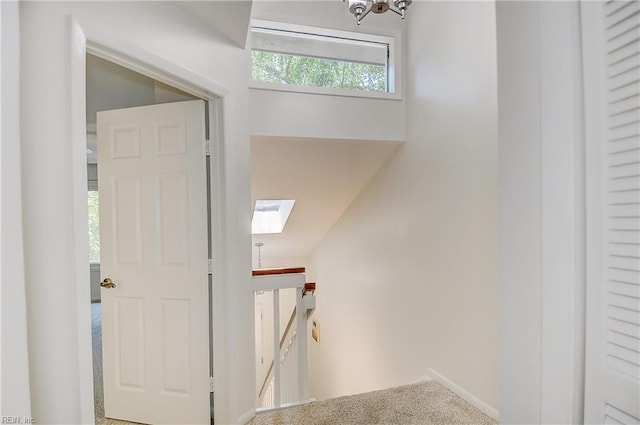 1118 Glengarry Way, Virginia Beach, VA 23451 - stairs featuring a skylight and carpet flooring